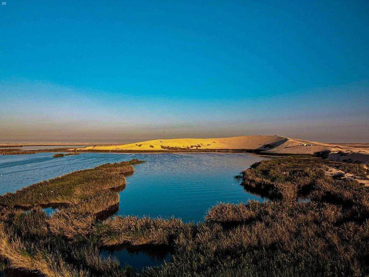 بحيرة الأصفر -الصورة من موقع وزارة السياحة