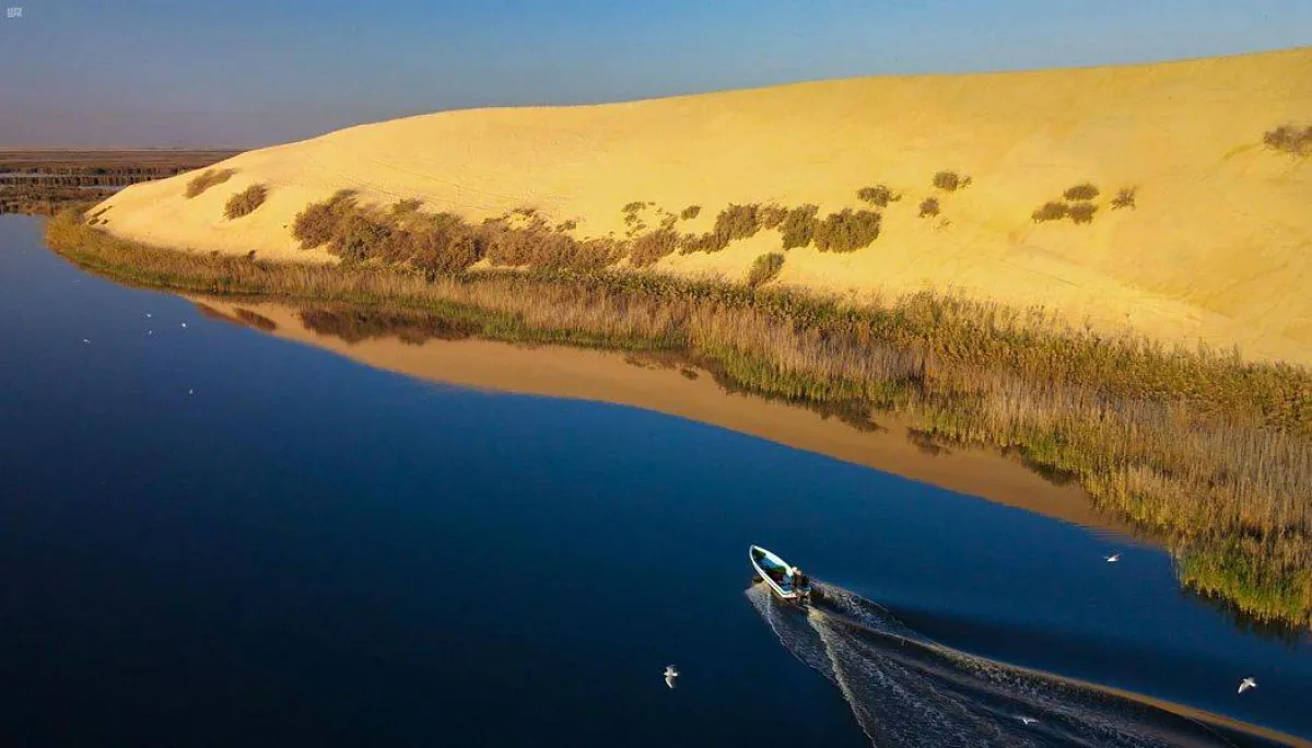 بحيرة الأصفر -الصورة  من موقع «واس»