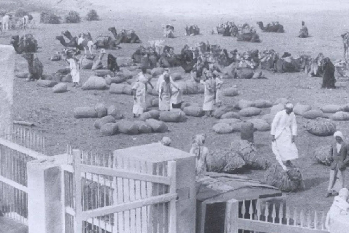 تظهر الصورة ميناء العقير في حقبة زمانية في الماضي مصدر الصورة وزارة السياحة