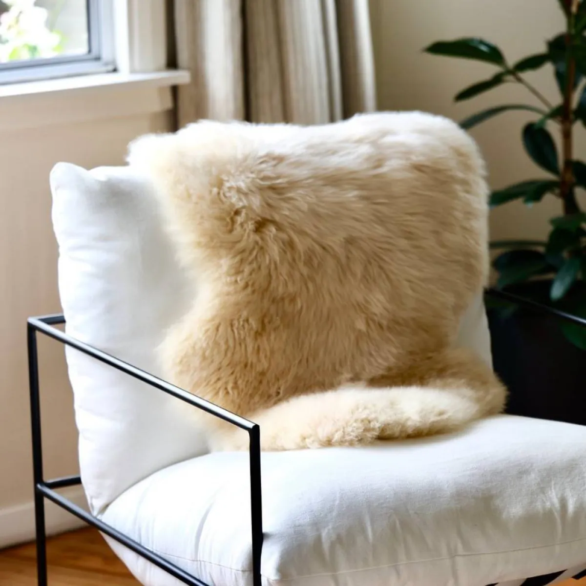 ماذا نفعل بفراء اللأغنام 