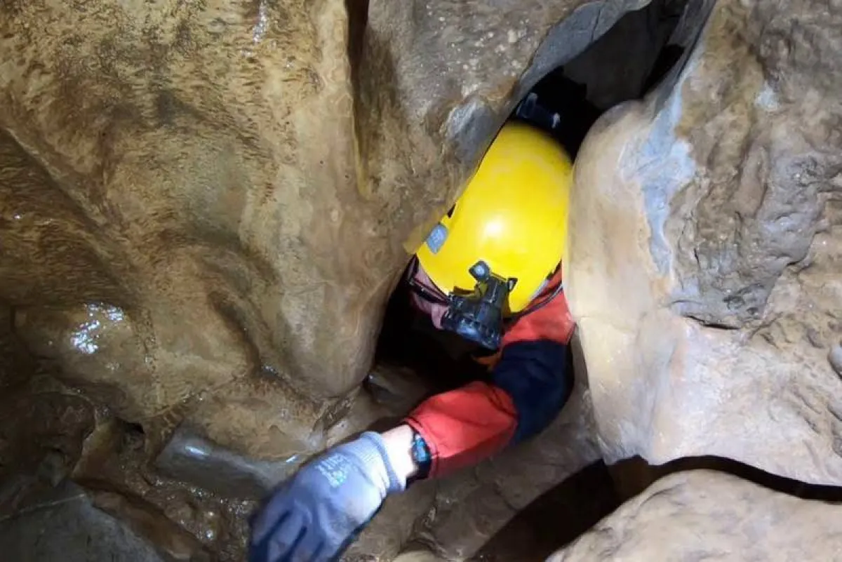 نجاة إيطالي