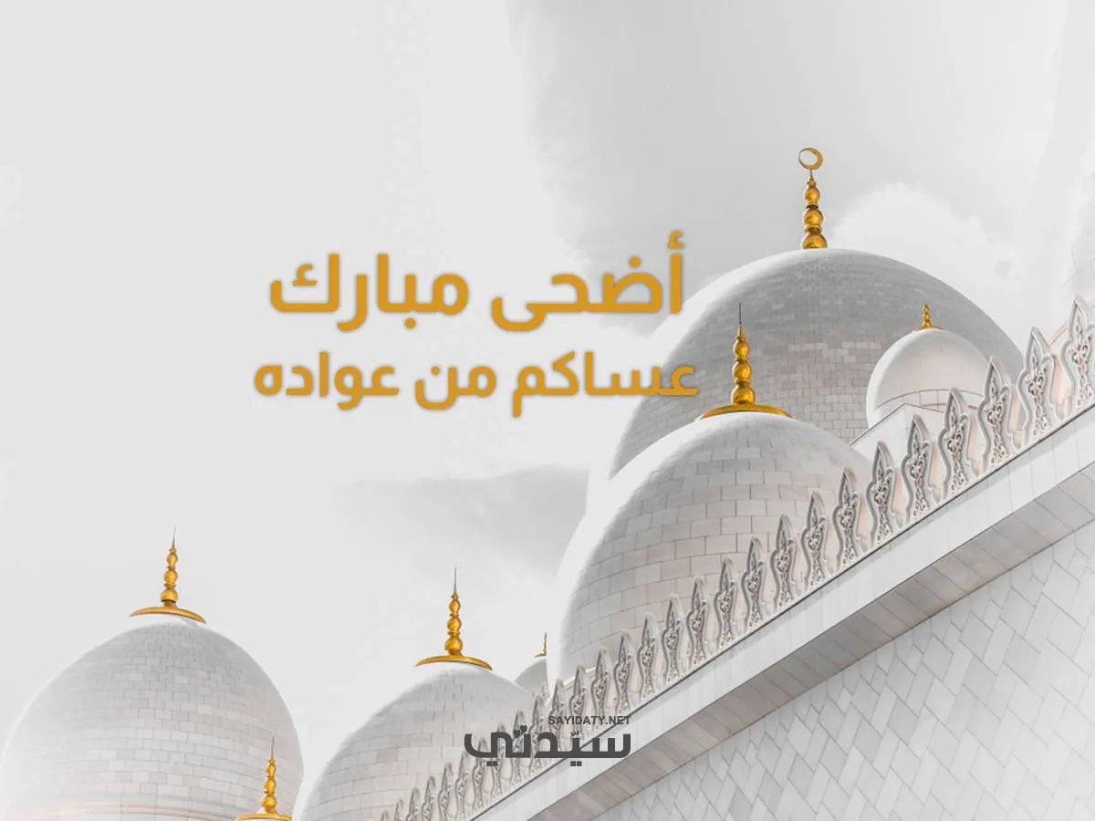 تهاني العيد