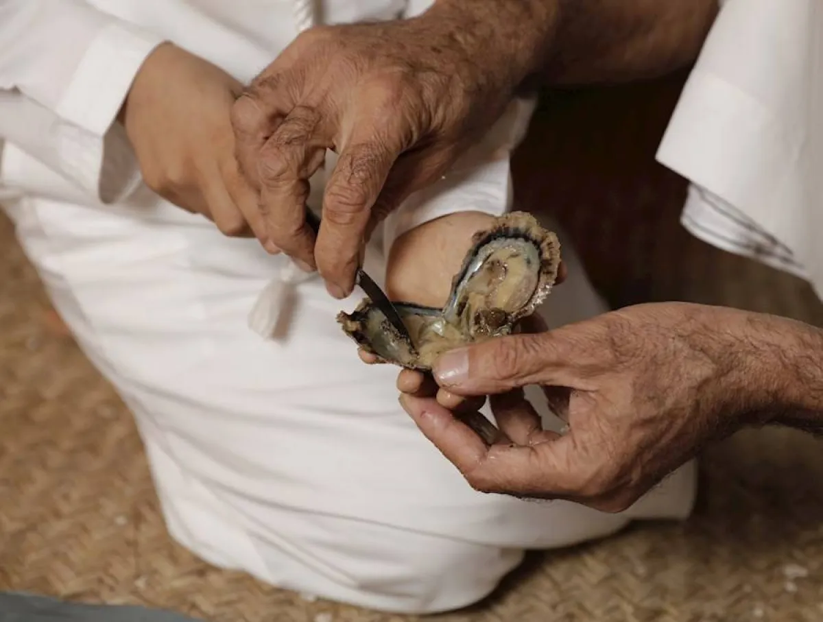 اللؤلؤ- الصورة من موقع ثقافة أبوظبي Abu Dhabi Culture