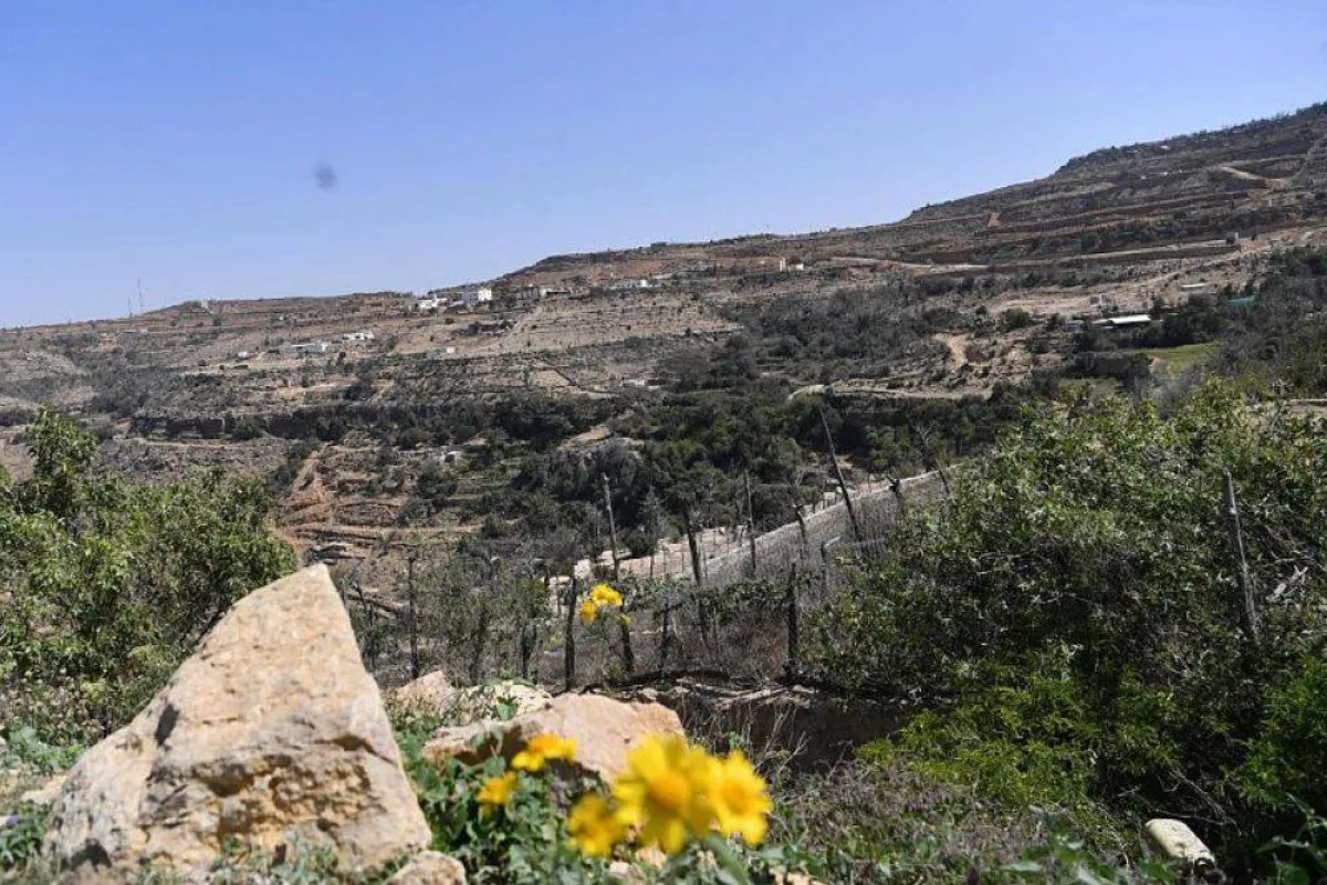 تظهر الصورة الغطاء النباتي لجبال القهر مصدر الصورة وكالة الأنباء السعودية واس