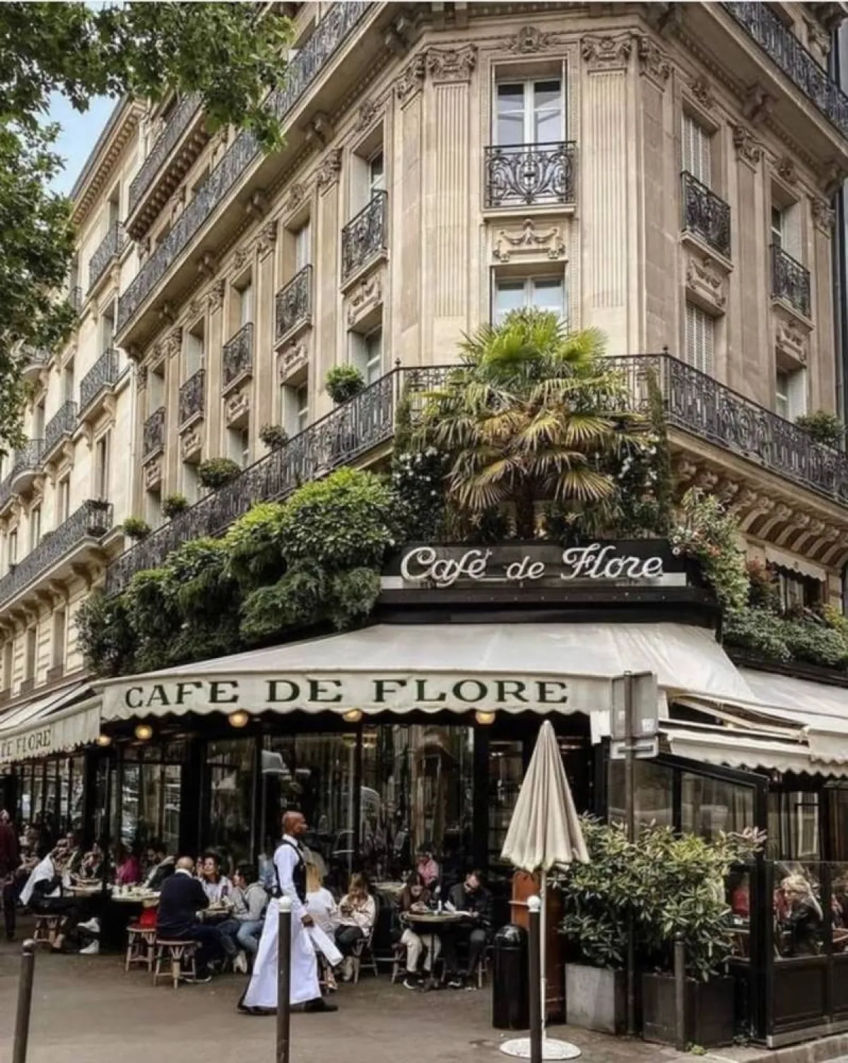 كافيه دي فلور