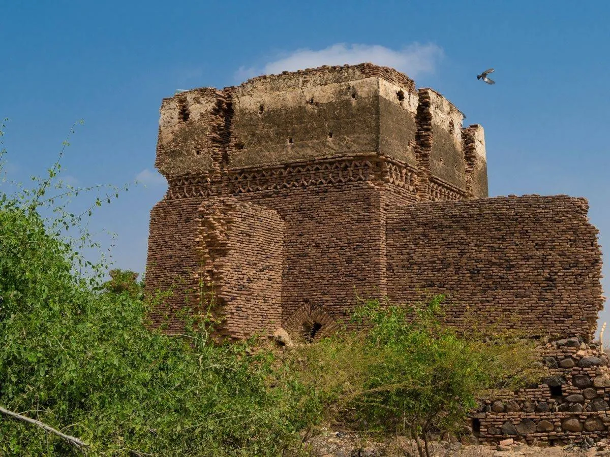 تظهر الصورة قلعة حمى مصدر الصورة وزارة الثقافة