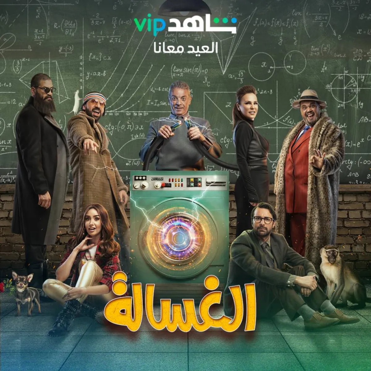 الغسالة - الصورة من حساب شاهد على انستغرام