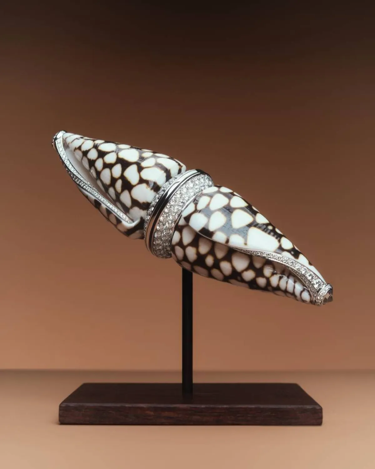 مجوهرات من مجموعة  AILLEURS من بوشرون