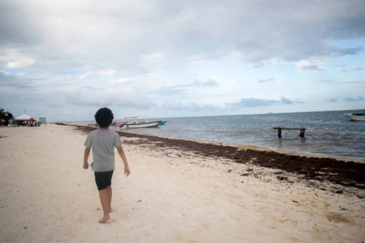 صورة لطفل يمشي على الشاطئ الرملي