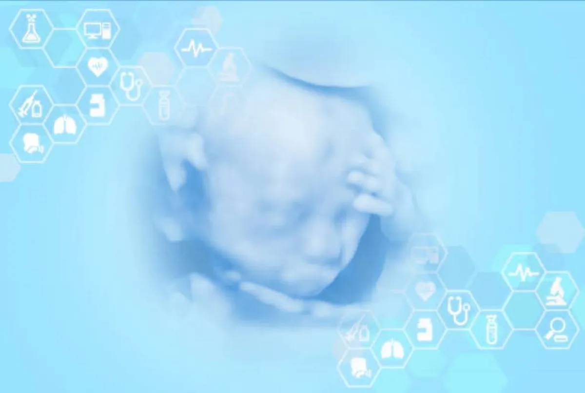 صورة لوجه جنين في رحم الأم