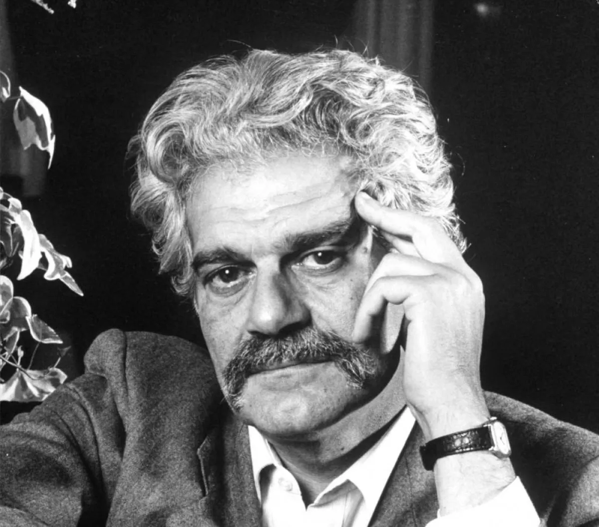 عمر الشريف - الصورة من أرشيف المحرر