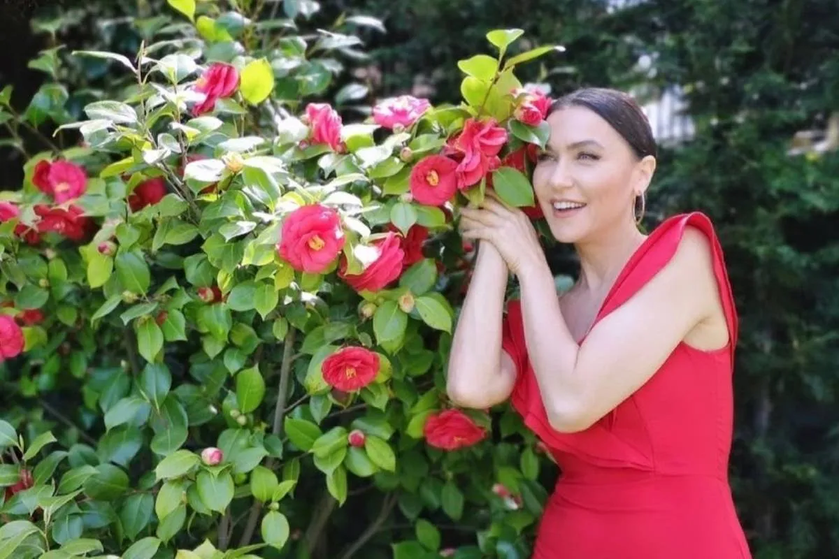 إطلالات سيفال سام