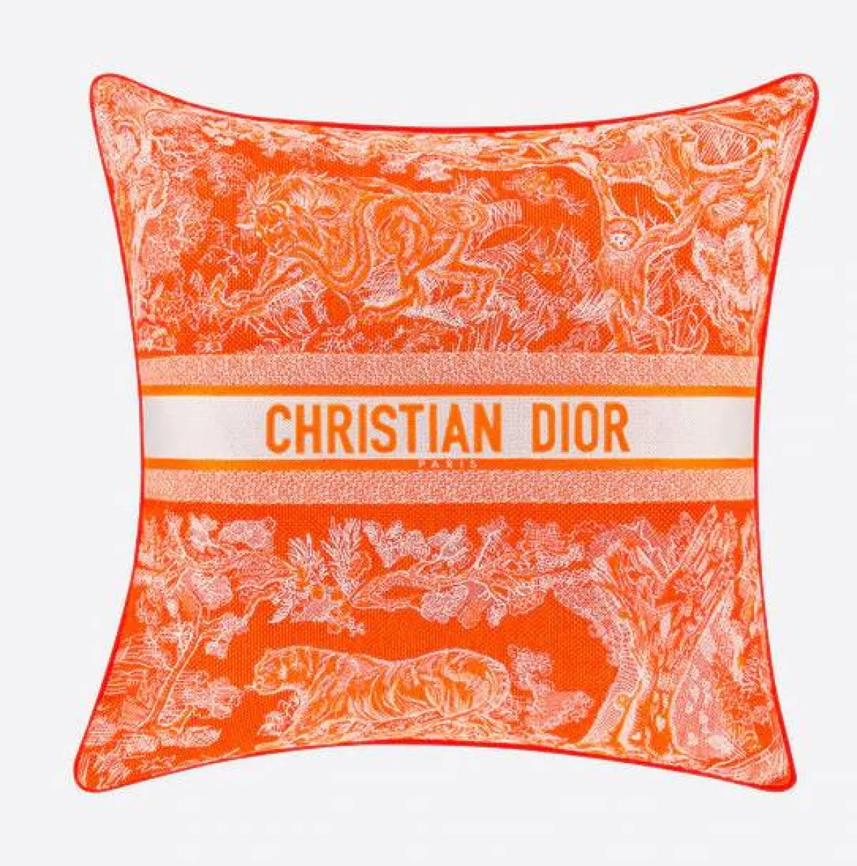 الصورة من موقع Dior