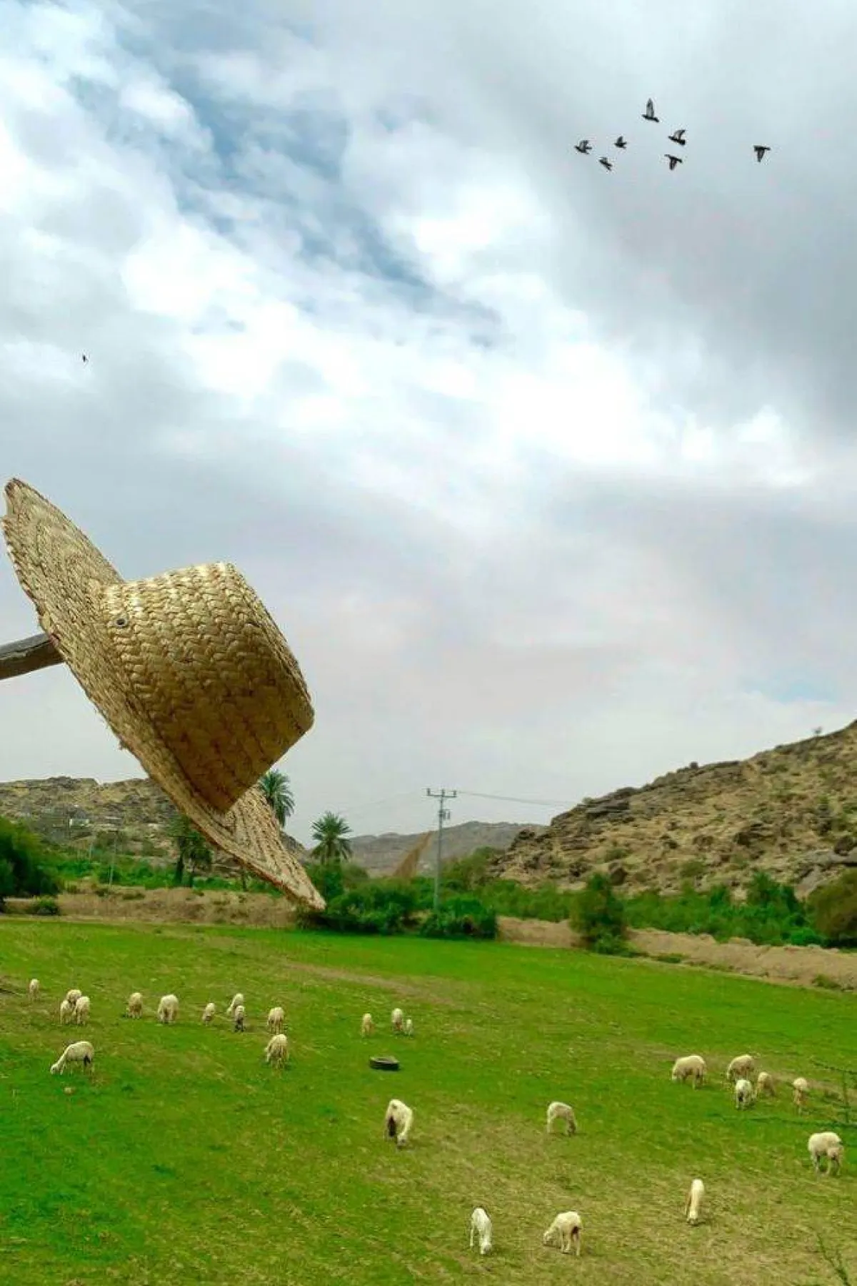 تظهر الصورة وادي غنما مصدر الصورة المصور متعب المالكي صاحب حساب @r1r_v