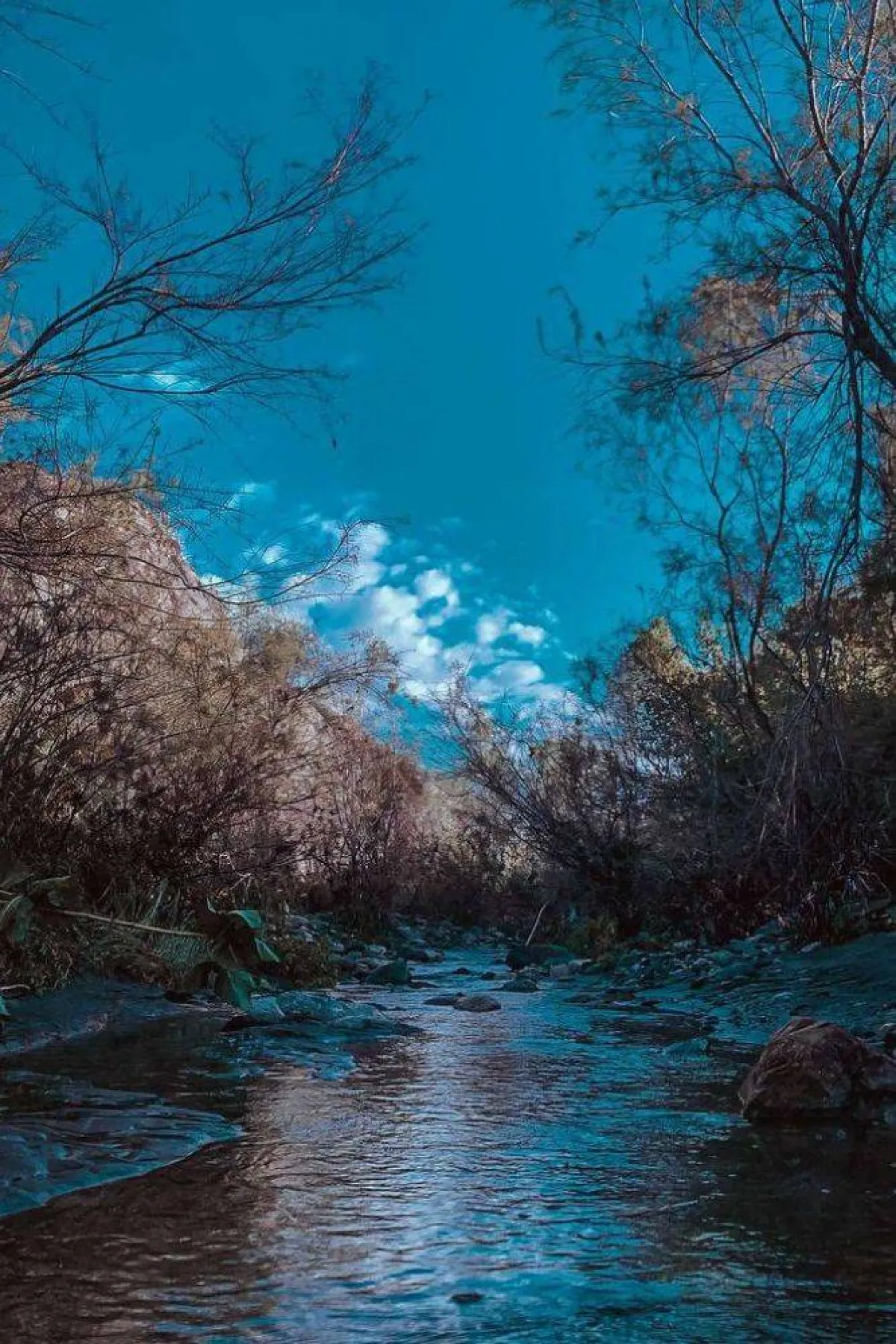 تظهر الصورة وادي غنما مصدر الصورة المصور متعب المالكي صاحب حساب @r1r_v