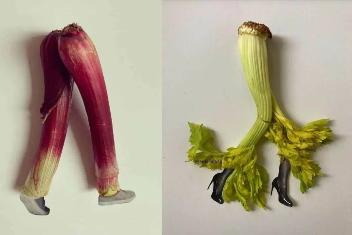 كولاج مارثا هافرشام 