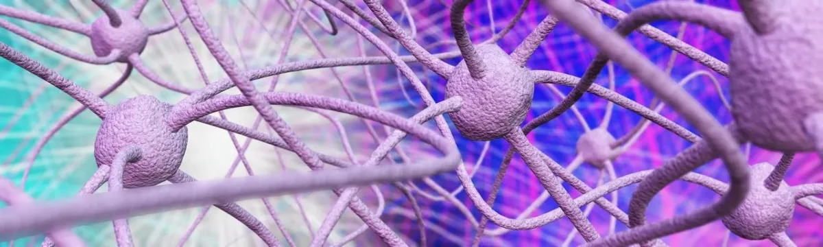 صورة عن الهرمون