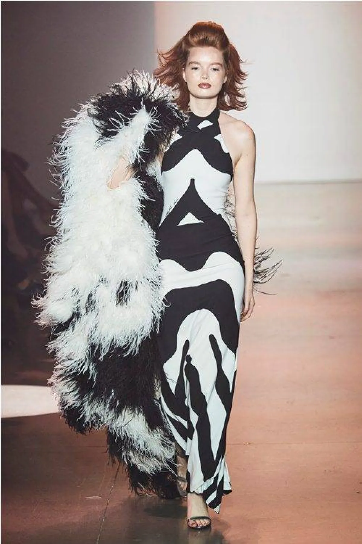 نقشة الزيبرا من كريستيان كوان  Christian Cowan