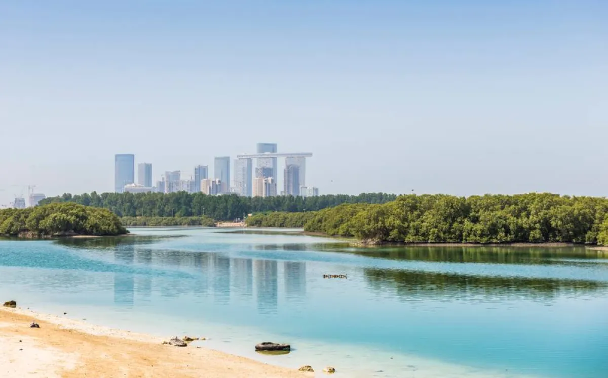 حديقة مانجروف الوطنية