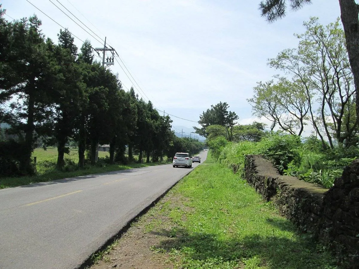 صورة الطريق الغامض في كوريا الجنوبية