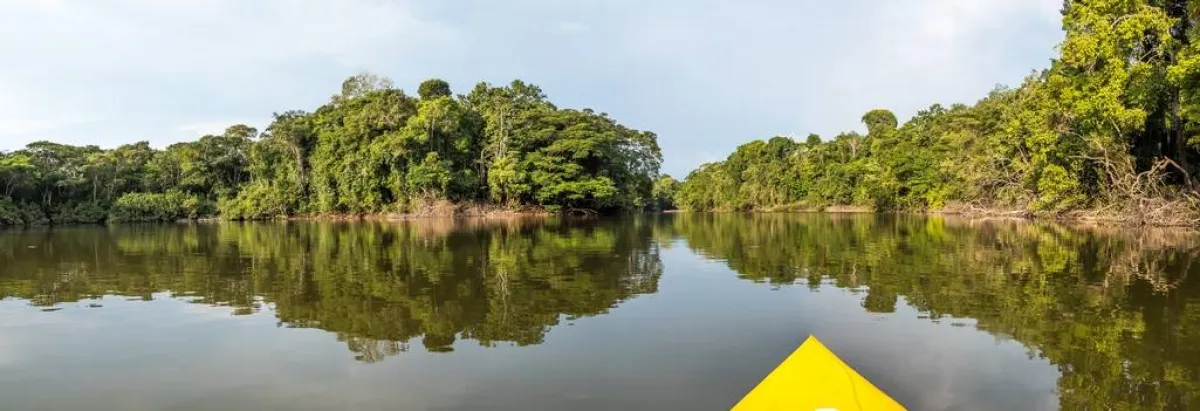 التجديف بالكاياك، في غابة الأمازون المطيرة