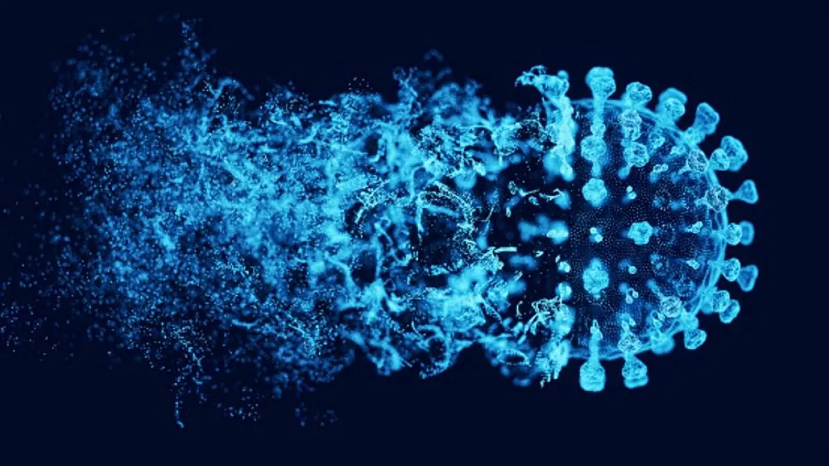 صورة لفيروس تحت المجهر