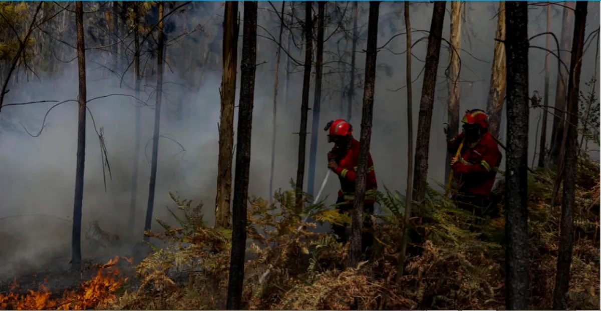 رجال الإطفاء يحاول إطفاء حرائق الغابات. الصورة من وكالة الأنباء الفرنسية.