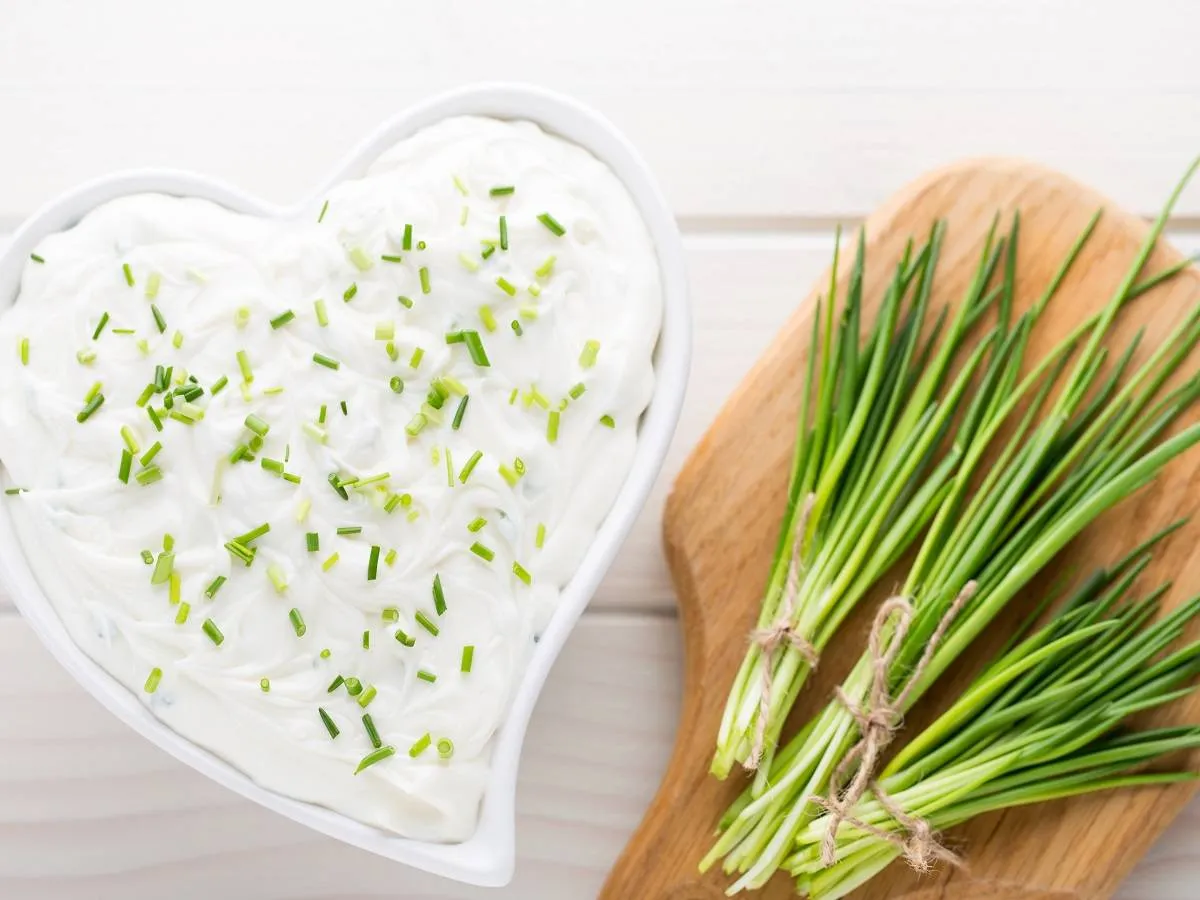 صورة لطبق يحتوي على اللبن الرائب