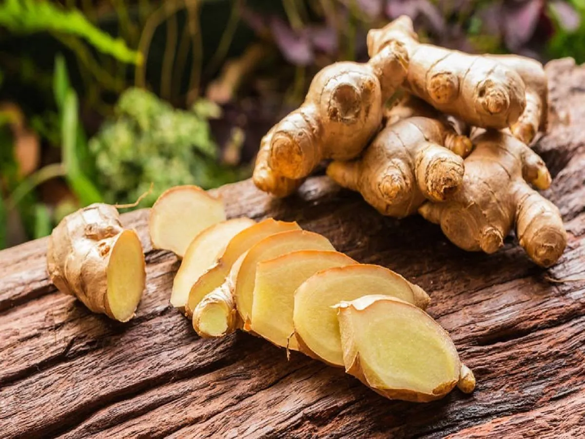 صورو لثمار من الجنزبيل