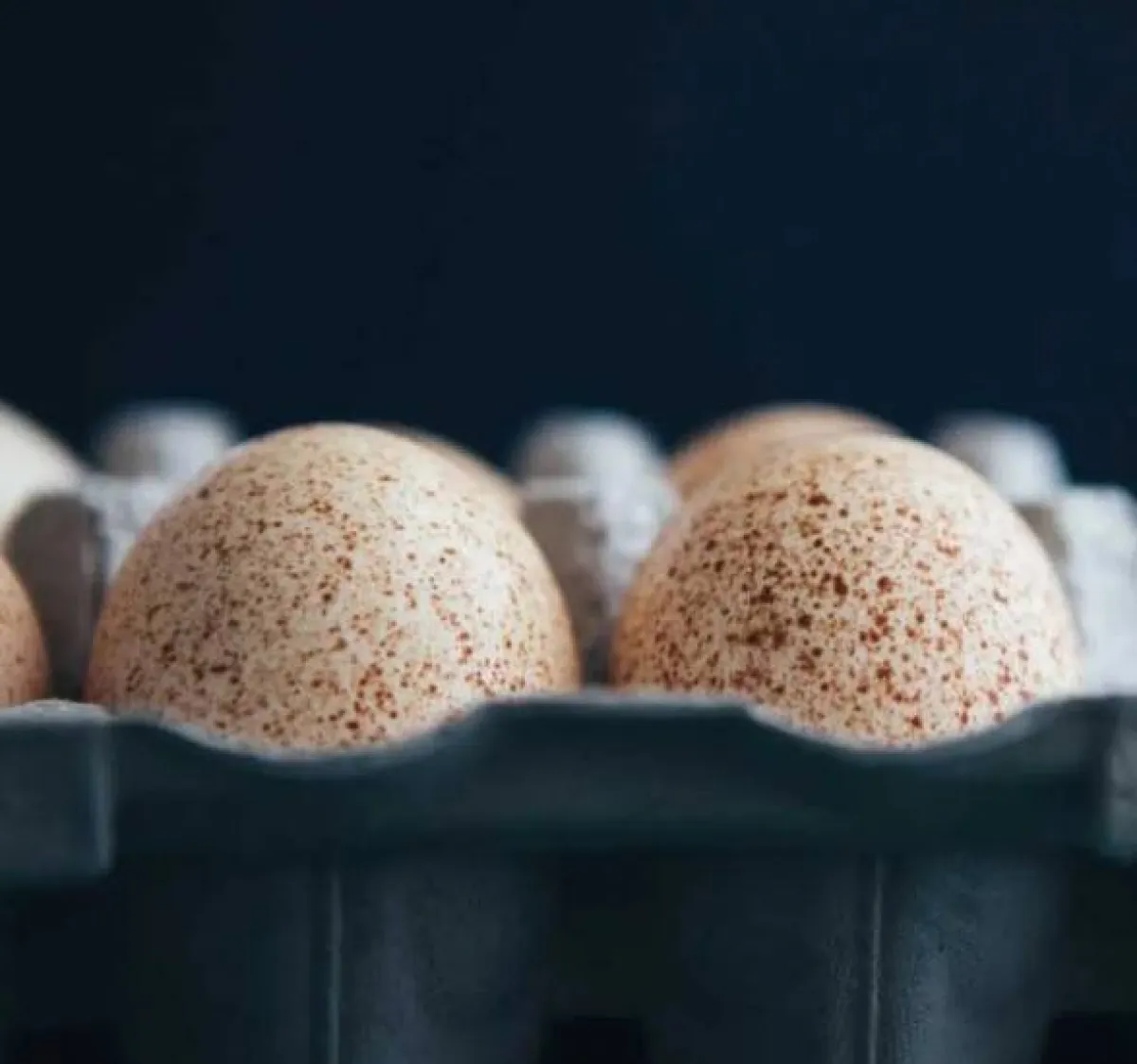 أغلى أنواع البيض في العالم