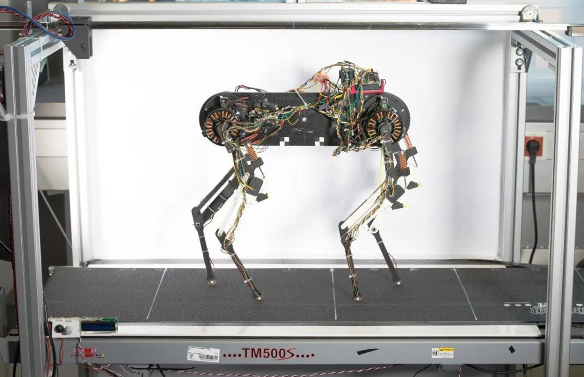 صورة روبوت على شكل كلب