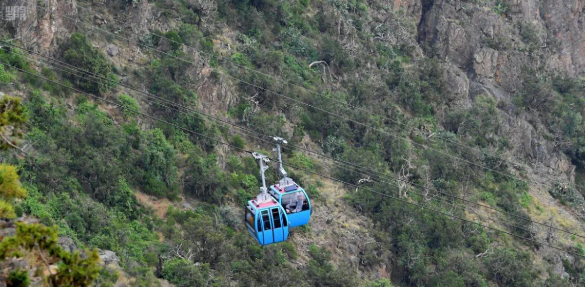 التنقل بين جبال عسير بواسطة التلفريك - الصورة من واس