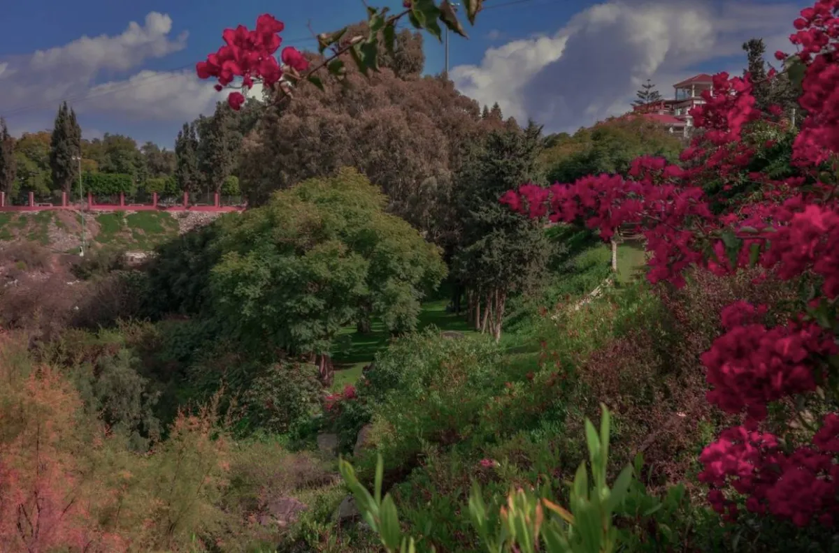 حديقة أبو خيال في منطقة عسير - الصورة من روح السعودية