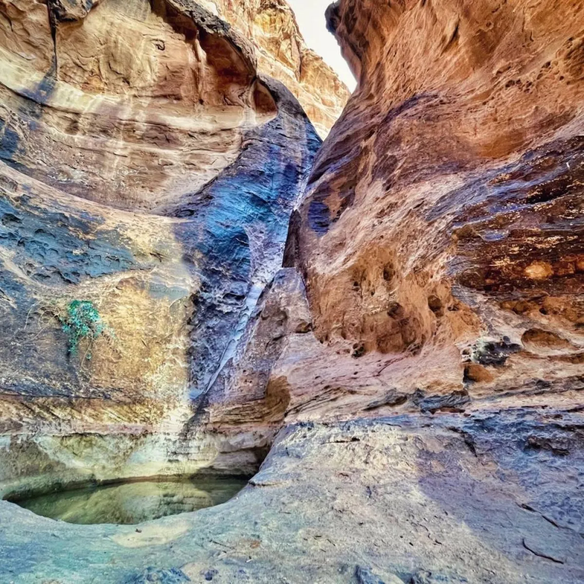 صورة بركة المياه في صحراء حسمي