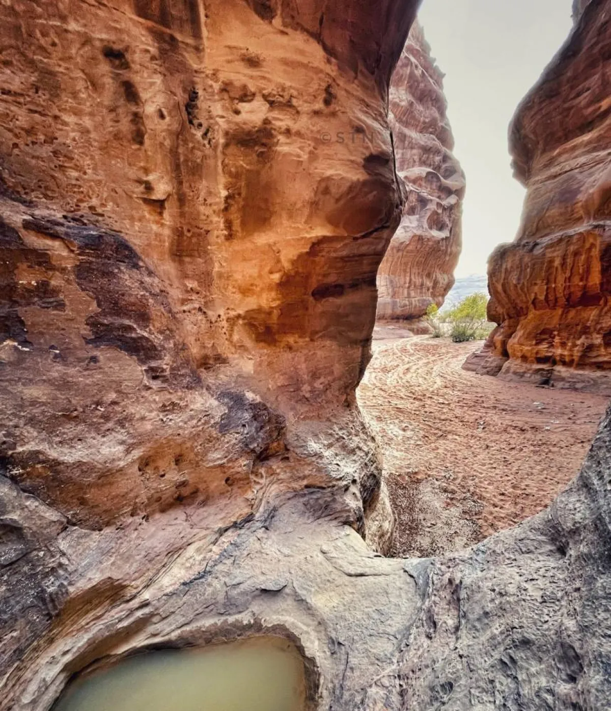 صورة بركة المياه المحاطة بالجبال
