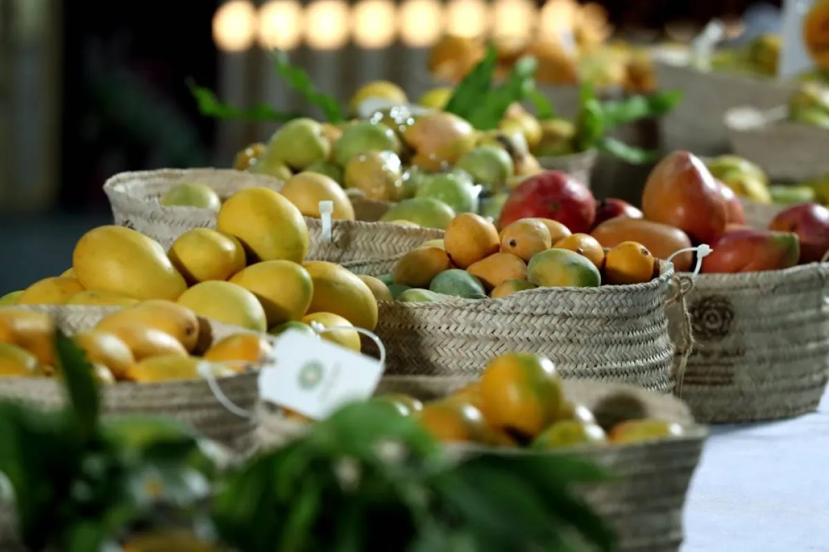  مسابقات الليمون "المحلي والمنوع، والمانجو المحلي والمنوع". الصورة من "وام"