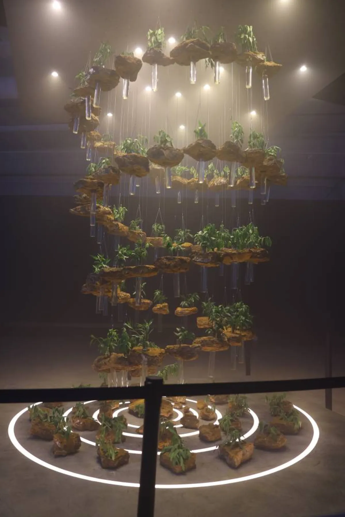 عمل وضوح رؤية - تصوير صالح الغنام