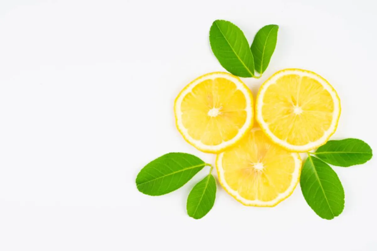 شرائح الليمون