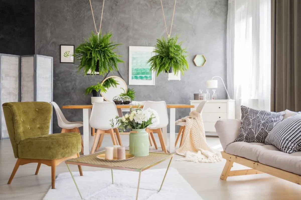 ديكورات المساحات الداخلية المحدودة