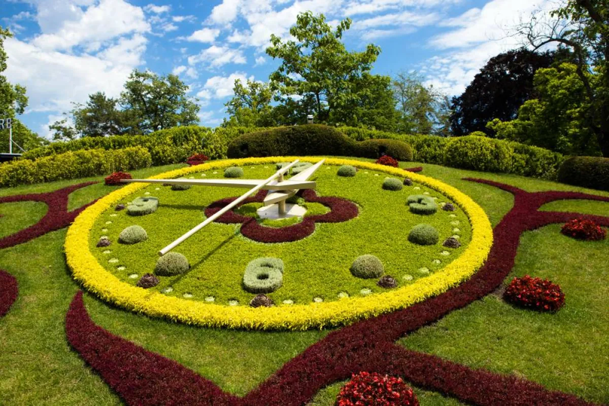 ساعة الزهور