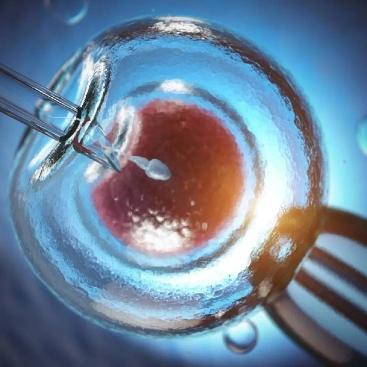 صورة تعبيرية لعلمية التلقيح المجهري