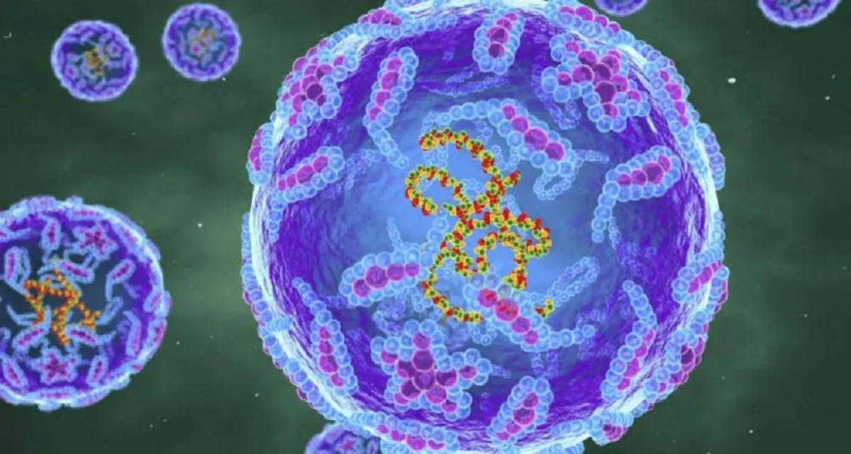 صورة خلايا فيروس شلل الأطفال