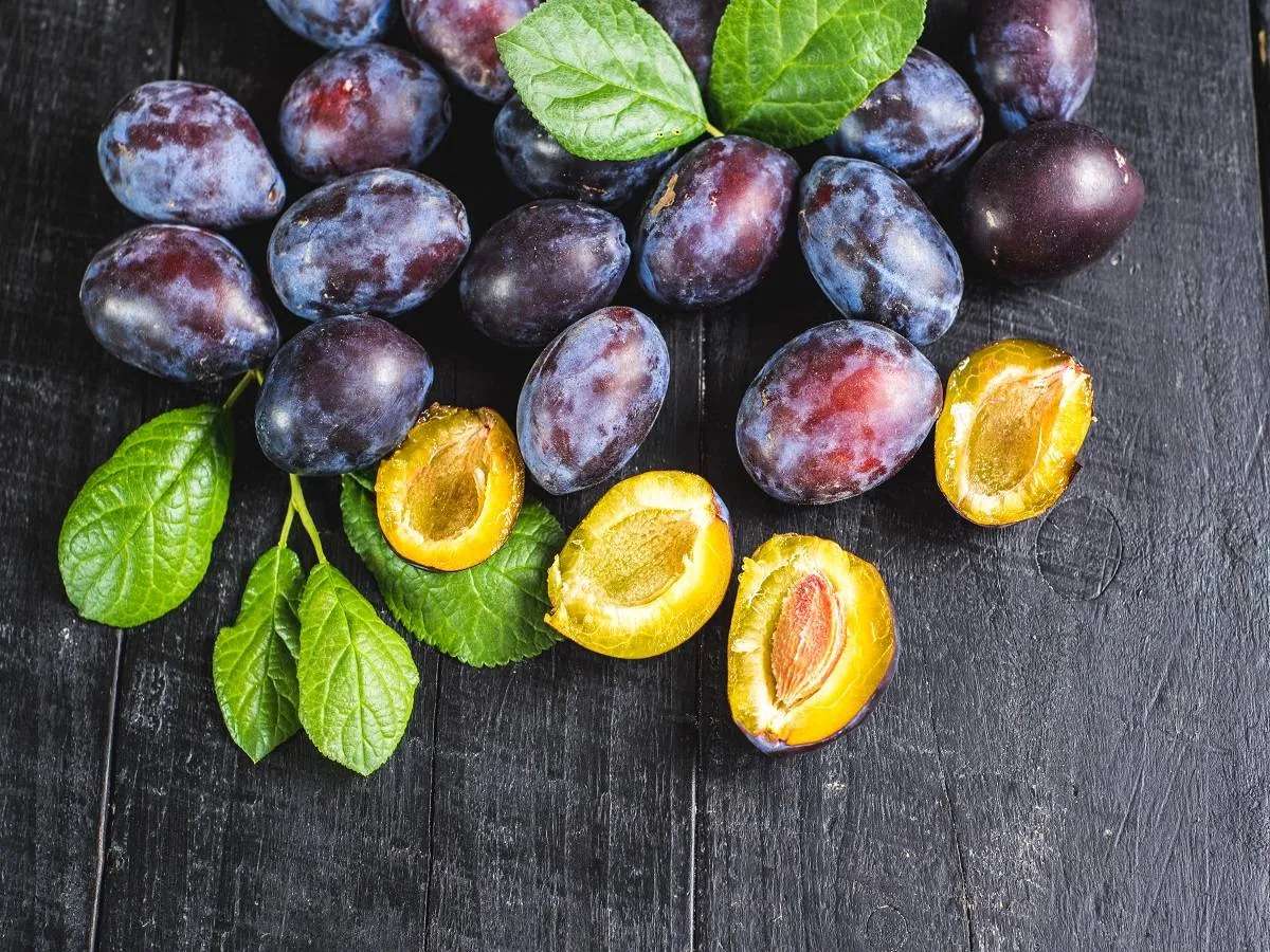 صورة لفاكهة البرقوق