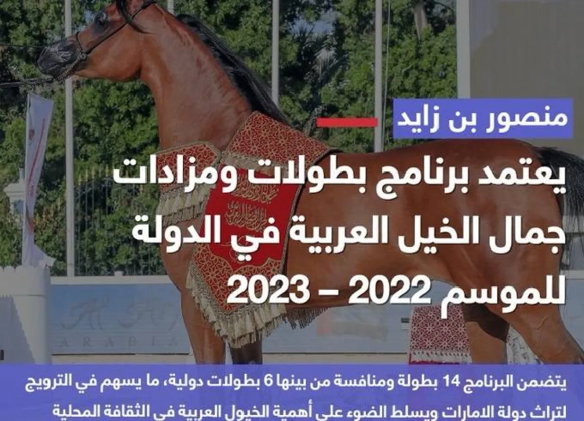 بطولات جمال الخيل العربية. الصورة من مكتب أبوظبي الإعلامي