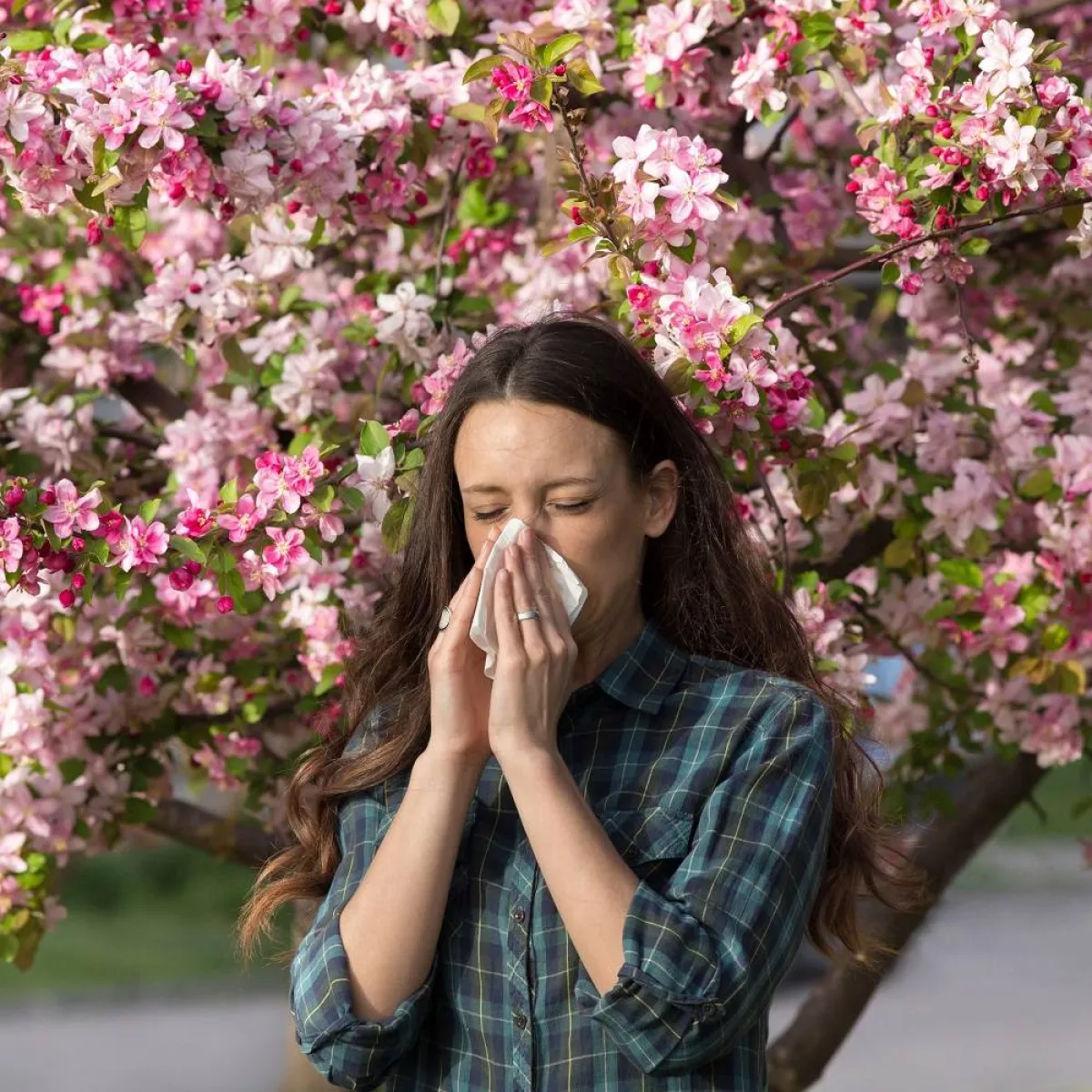 صورة تعبيرية لحساسية الأنف