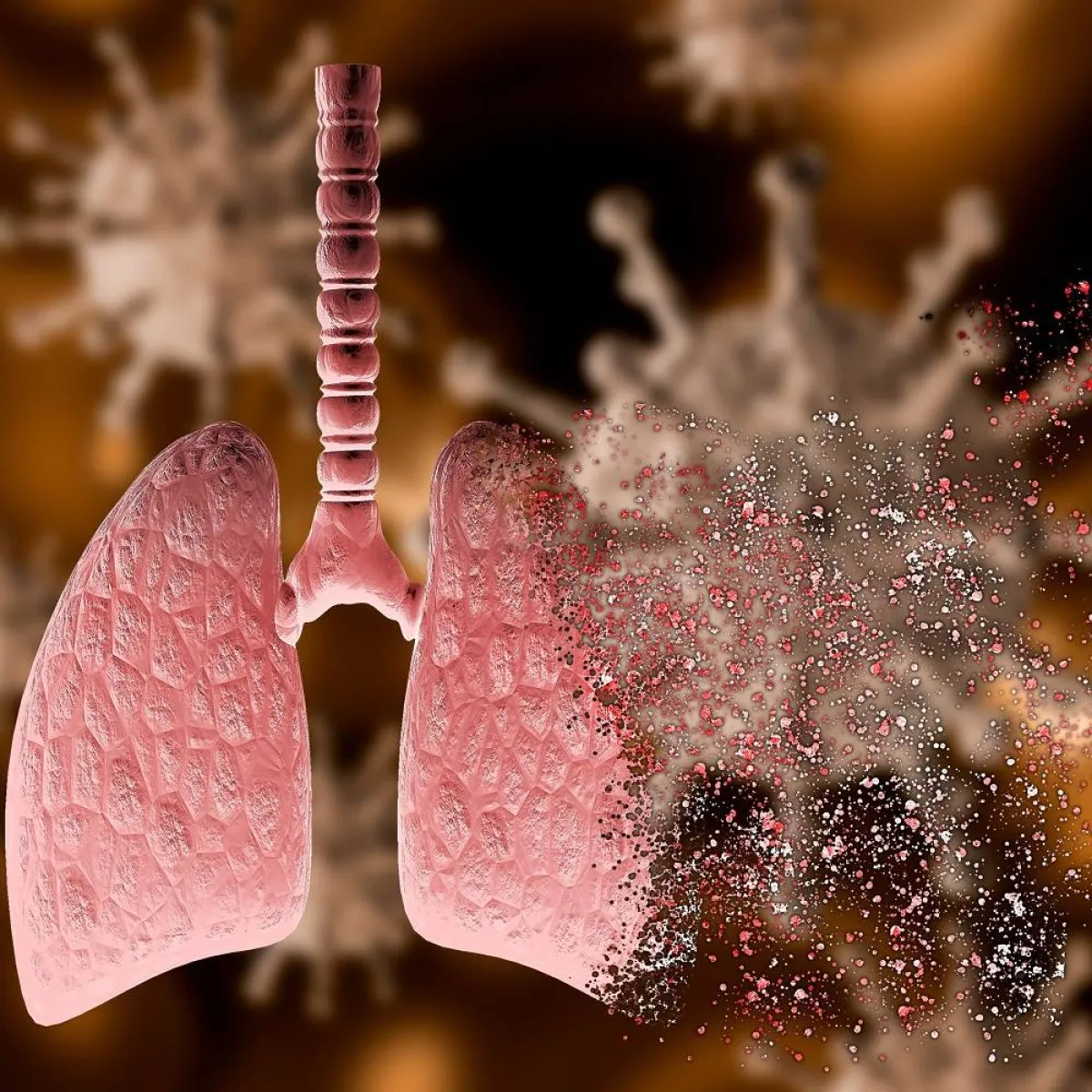 صورة لتأثير الحساسية على الرئتين