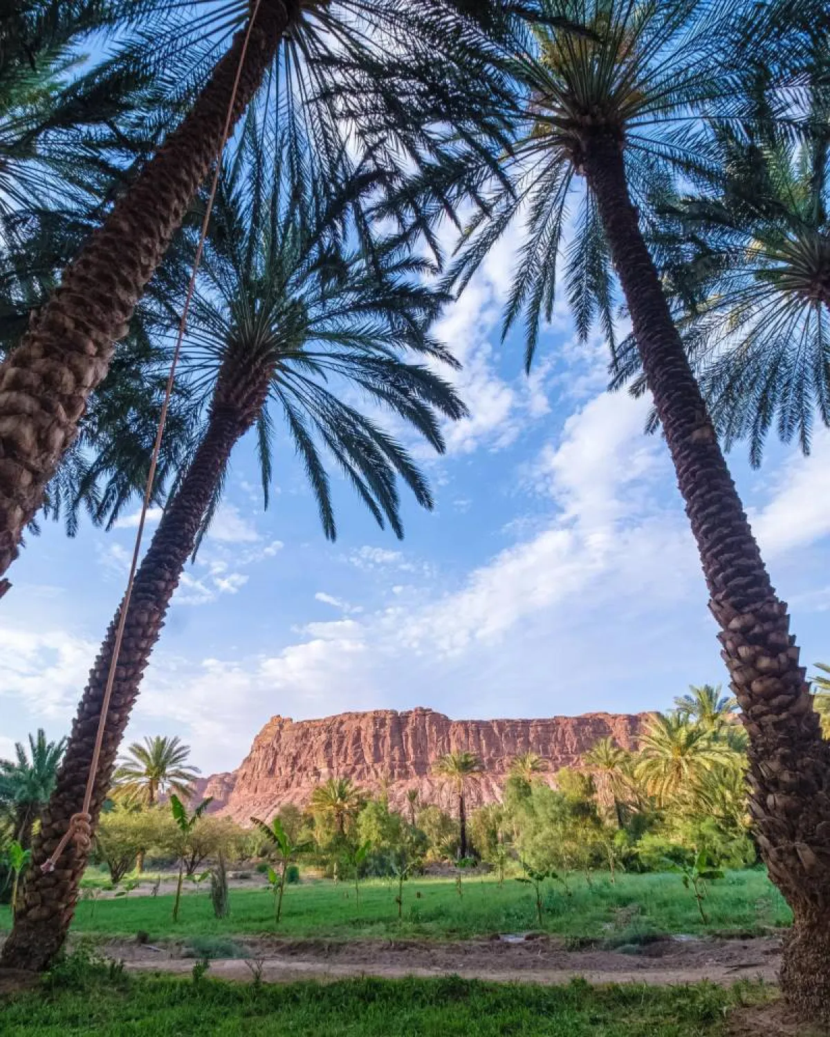 المناظر الطبيعية الخلابة في العلا -  Experience AlUla  فيسبوك