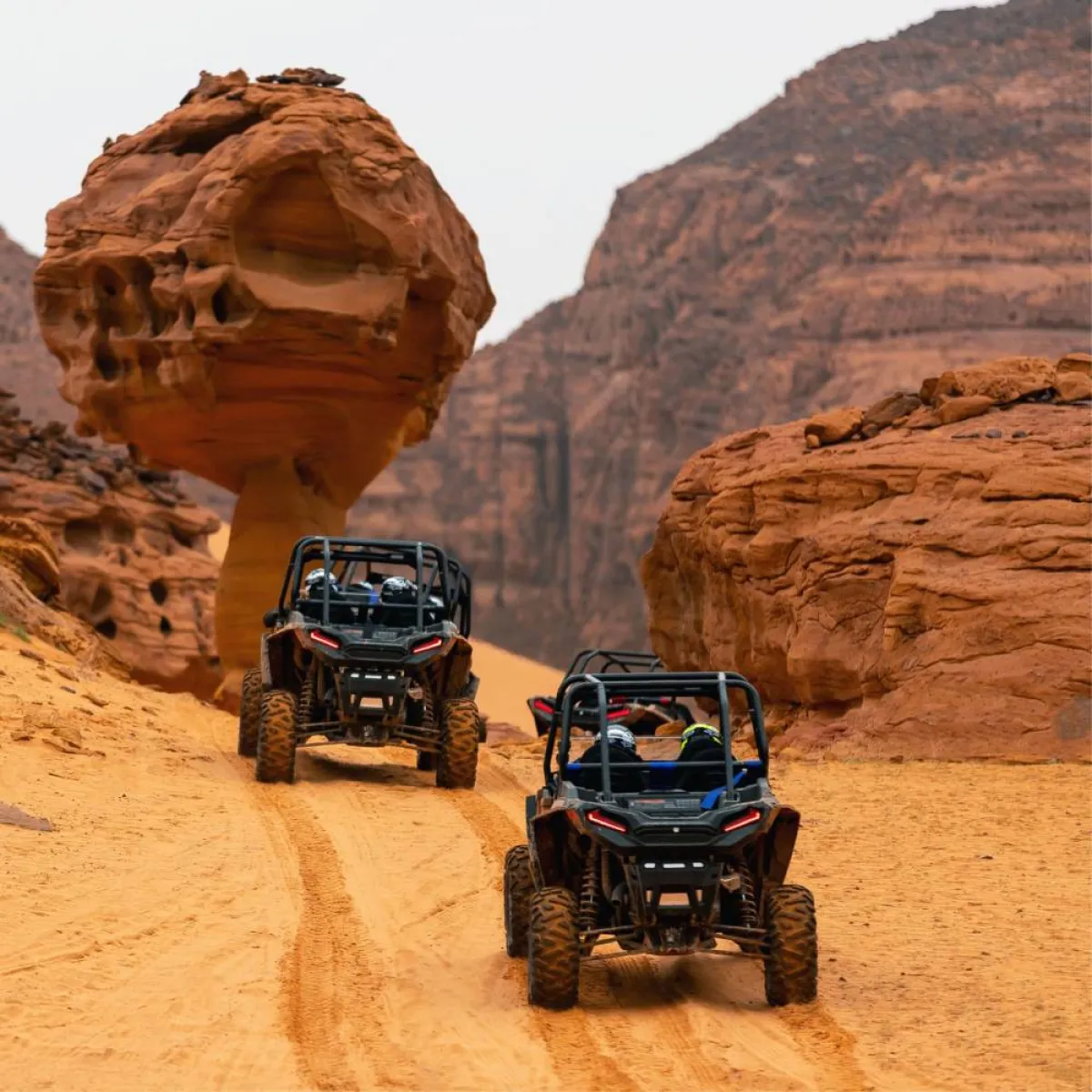 تجارب شيقة في التراث والفن والثقافة للسياح - -  Experience AlUla  فيسبوك