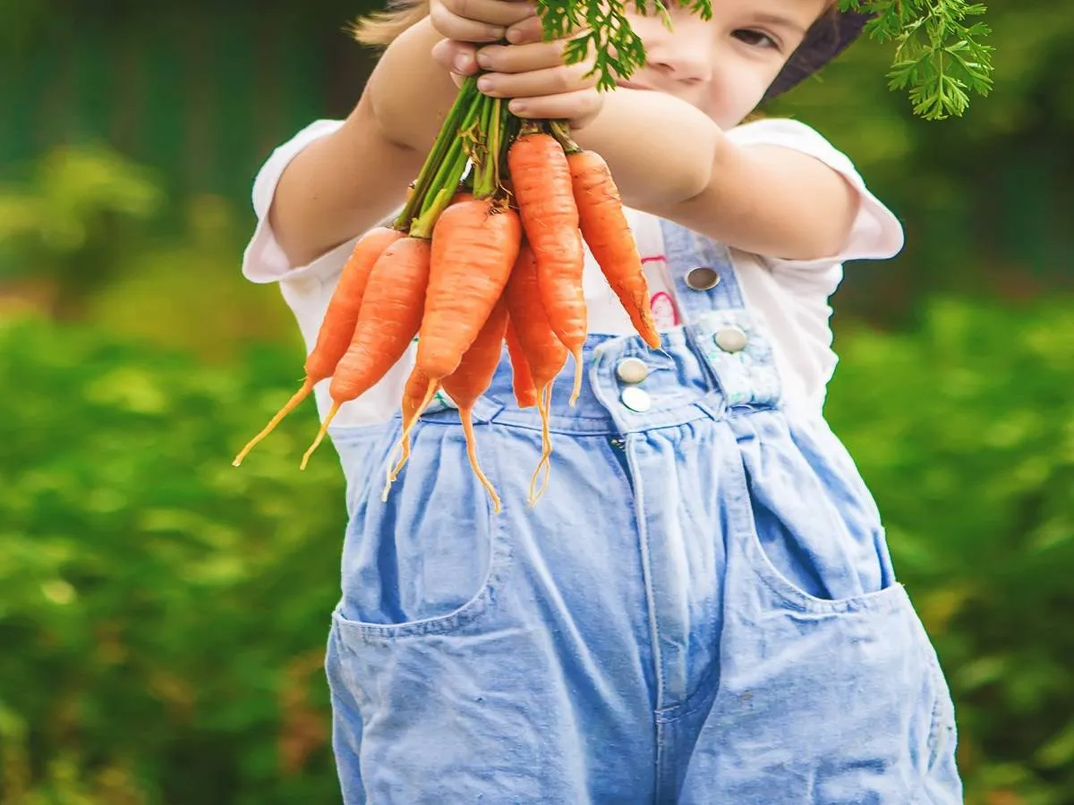 صورة لطفلة تحمل الجزر