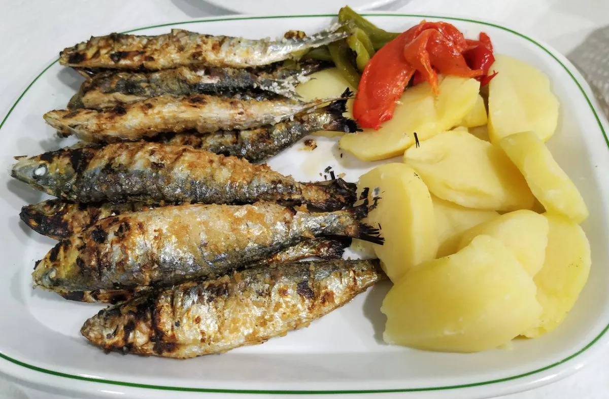 صورة لسمك السردين